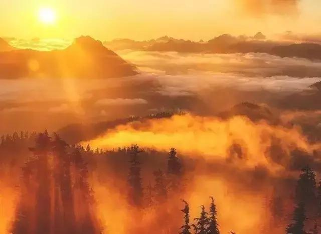 九月秋天美,九月的秋天多美好