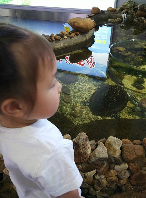 带孩子三亚游玩心情,带娃去三亚心情