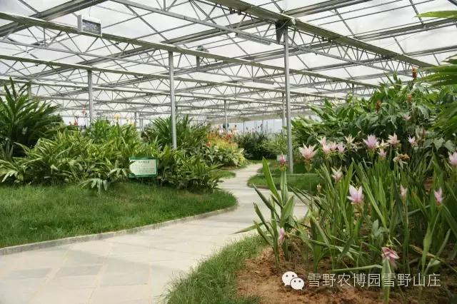 感恩教师节景区活动,感恩教师节门票优惠政策