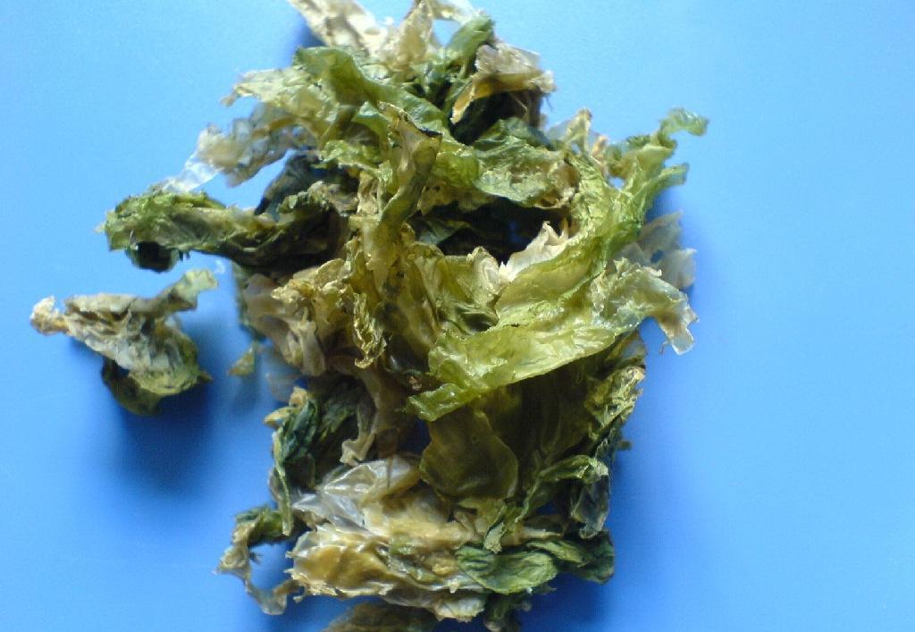 护肝抗病毒中草药,抗病毒的中药对肝脏有什么作用