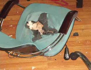 女子*体下**竟然被这东西击穿，血流不止!很多人都在用它！