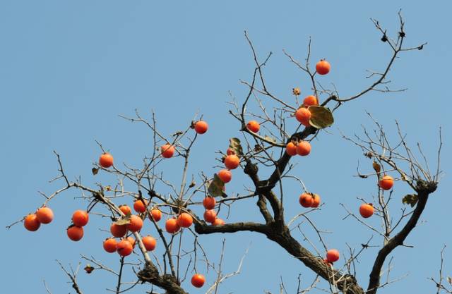秋天到了你想去哪里旅行,佛冈适合雨天游玩的地方