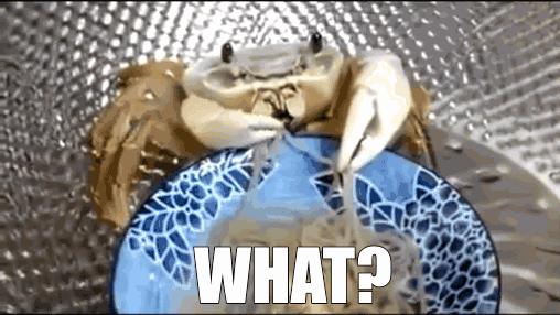 又到了吃大闸蟹的季节你学会了吗,吃大闸蟹最好的季节是什么时候呢