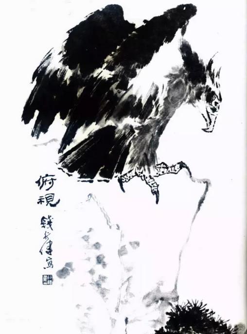 国画之鹰作品大全大图,国画大写意鹰图片大全