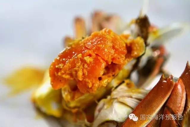 “秋风起，蟹飘香”~河蟹海蟹傻傻分不清？