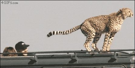 干海参怎么泡发简单方法,泡妹秘诀