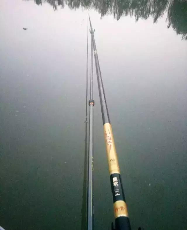 《渔获战报》黑坑之王在此，江湖没有之一