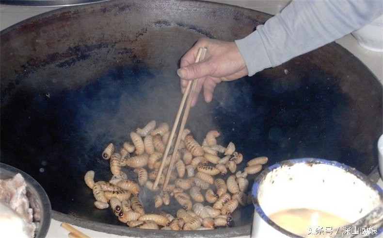 蛆虫吃法大全,肥肥的黑猪肉怎么吃