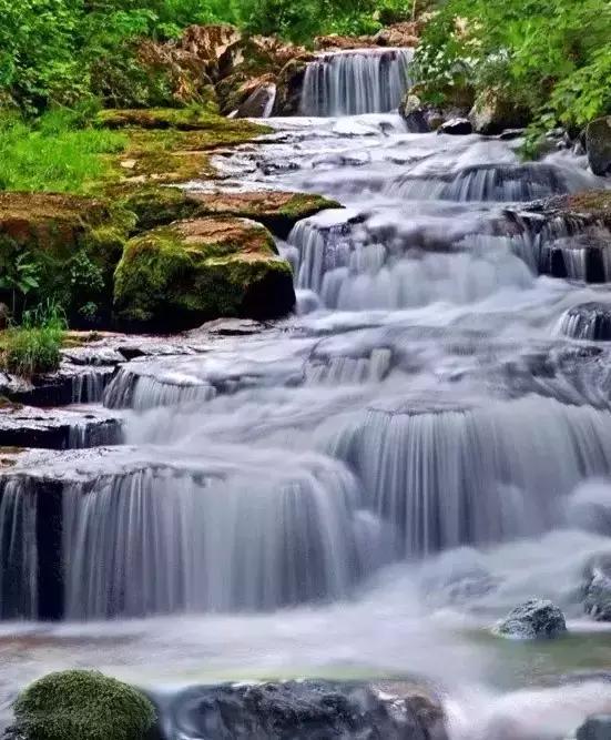 仙女山国家森林公园最美景色,仙峰国家森林公园千年红豆杉景区