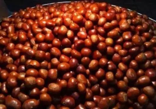 重磅！金味栗子今日开卖，买到头锅的都是吃货中的战斗机！