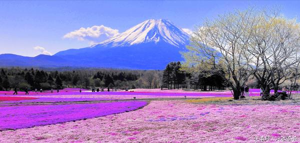 久光也没有熬过7年之痒以不变应万变明显行不通