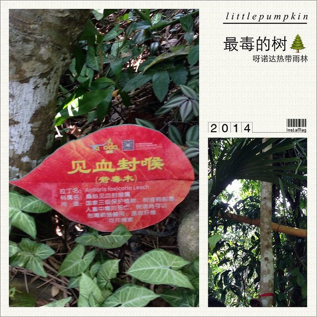 懒人版三亚旅游攻略,海南三亚懒人行租车