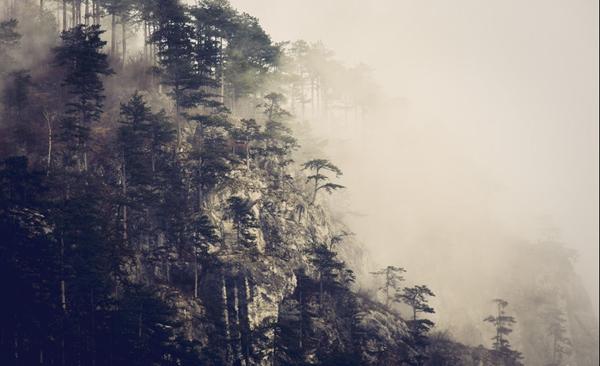 黄山神奇的奇松,黄山之奇险