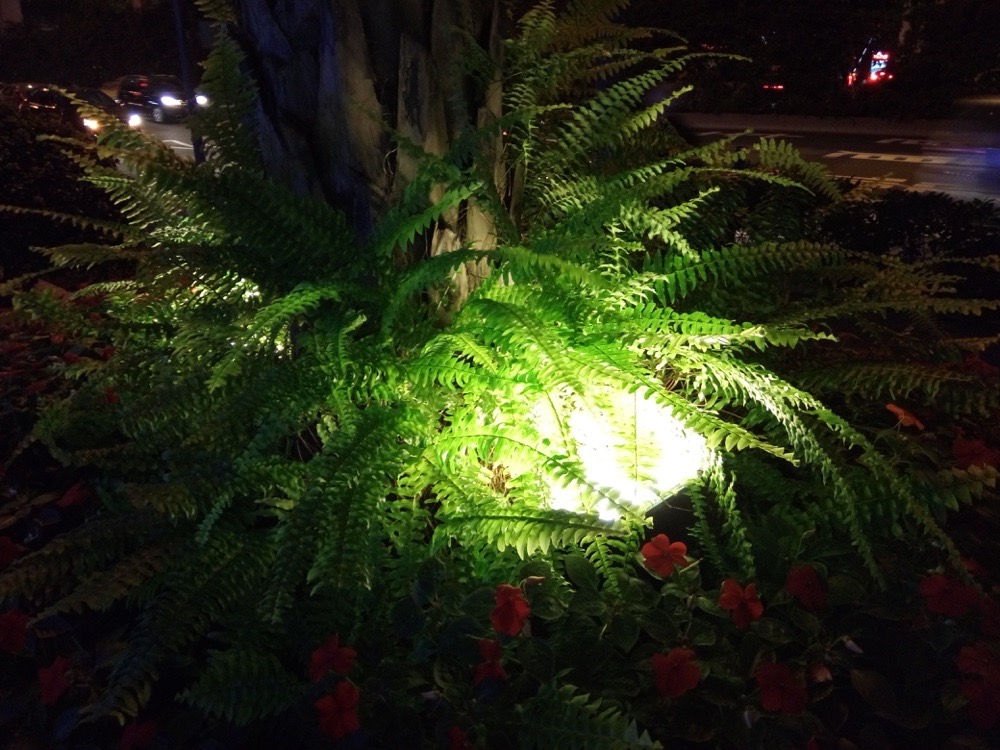 钃濋瓟mos1鎬ц兘,钃濋瓟mos1