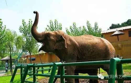 沈阳最刺激的公园,沈阳免门票公园有哪些