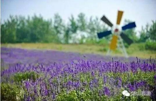 究竟是什么让你对汤山念念不忘呢？