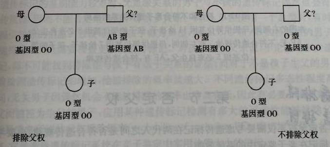王宝强带孩子做亲子鉴定结果如何,马蓉和王宝强孩子做过亲子鉴定吗