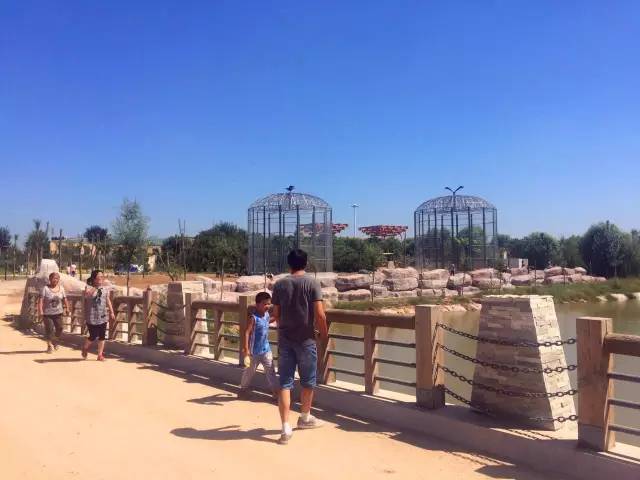 德州动植物园摄影,德州植物园景点