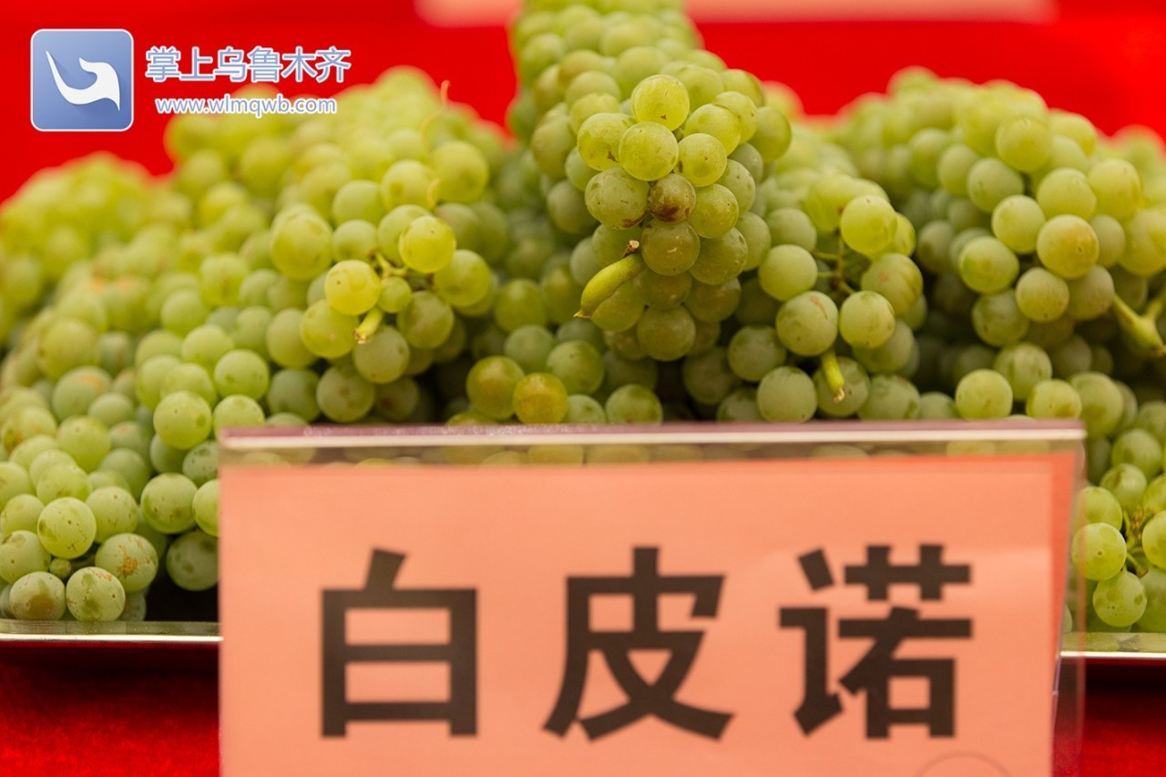 自带花香味的葡萄你吃过吗,吃葡萄不吐葡萄皮的葡萄怎么挑