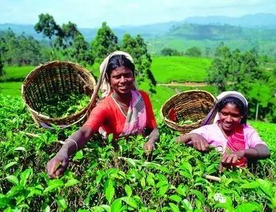 旅行出游十一,旅游十一