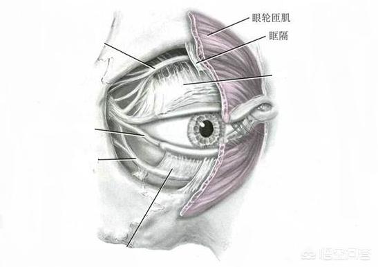 眼袋长久不消影响个人形象！哪些原因会导致眼袋，该咋消除？