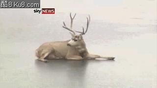 苏州公共自行车可以无桩还车么,苏州公共自行车几点停止借用