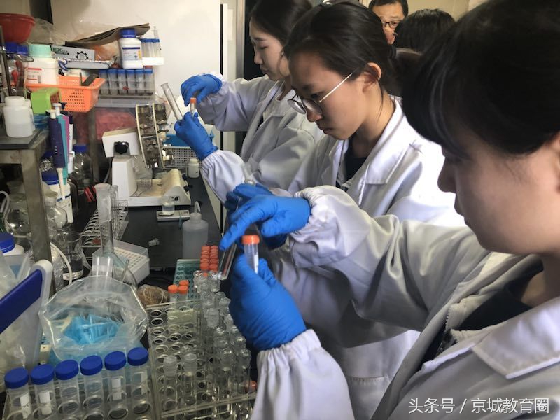 怎样报考附中,如何报考首师大研究生