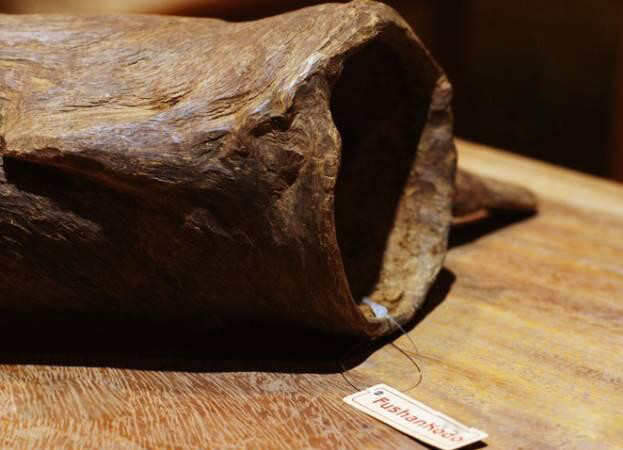 沉香线香术语与品评,关于沉香的100种术语