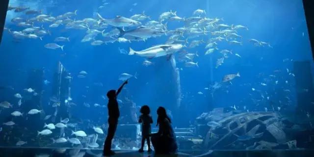 阿联酋对华免费落地签,阿联酋落地签最新通知