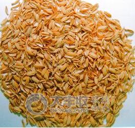 柑橘储藏的最佳方法,柑橘贮藏保鲜的八种方法果农必看