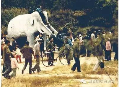 迎泽公园以前儿童乐园的大象滑梯,迎泽公园滑梯大象