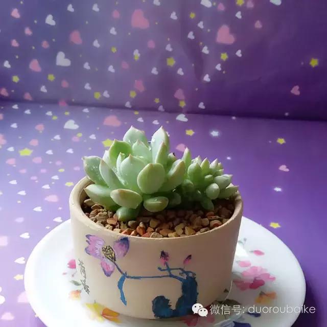 入坑就不能自拔,入坑后无法自拔