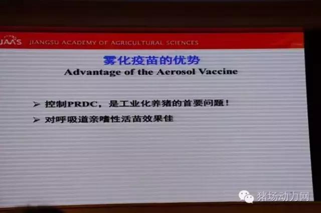 支原体肺炎国家防御方案,支原体肺炎抗病毒