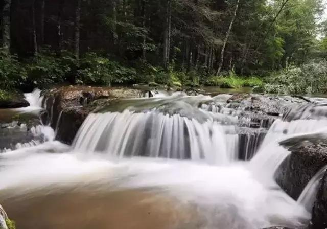 仙女山国家森林公园最美景色,仙峰国家森林公园千年红豆杉景区