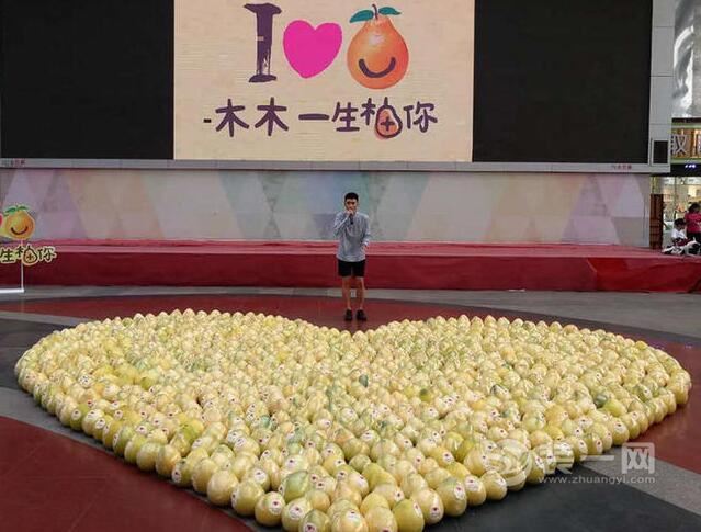 柚子表白师姐,摆柚子