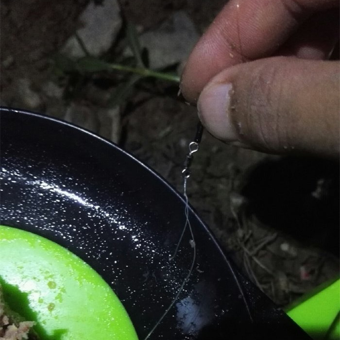 东江小湖野钓,东江野钓大一点的鱼