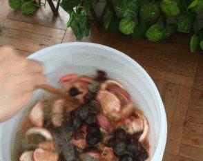 鲜酿酵素,鲜酿酵素怎么喝效果好