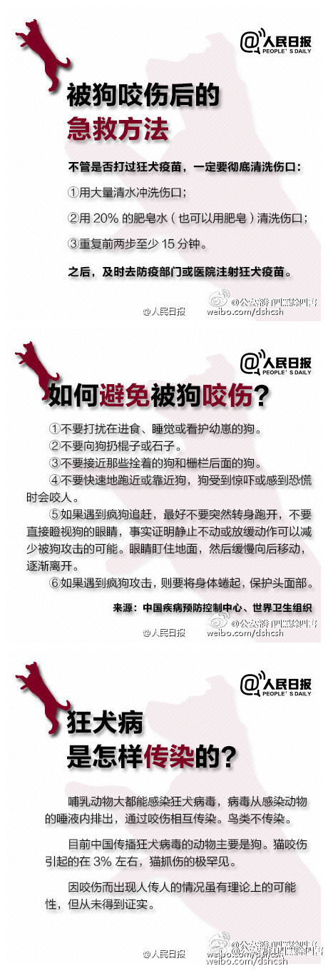 怎么知道狗携带有狂犬病毒,咋样知道有没有狂犬病发作