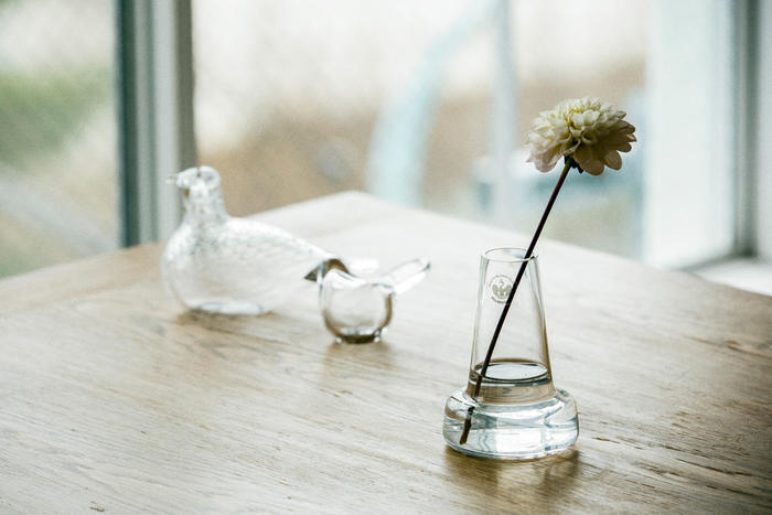 清新淡雅的花瓶,瞬间提升居家美感的花瓶