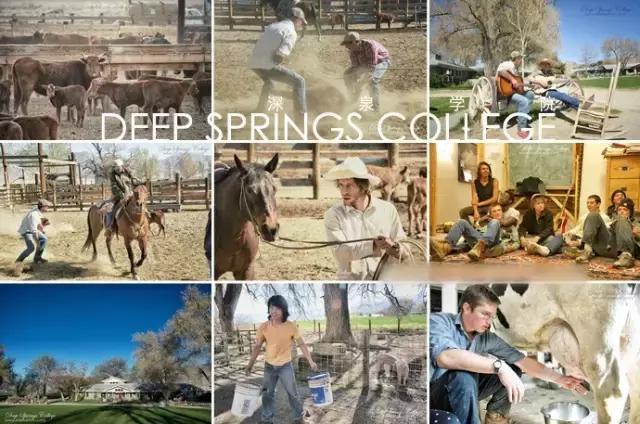 美国深泉学院怎么样,深泉学院的有趣和神奇之处