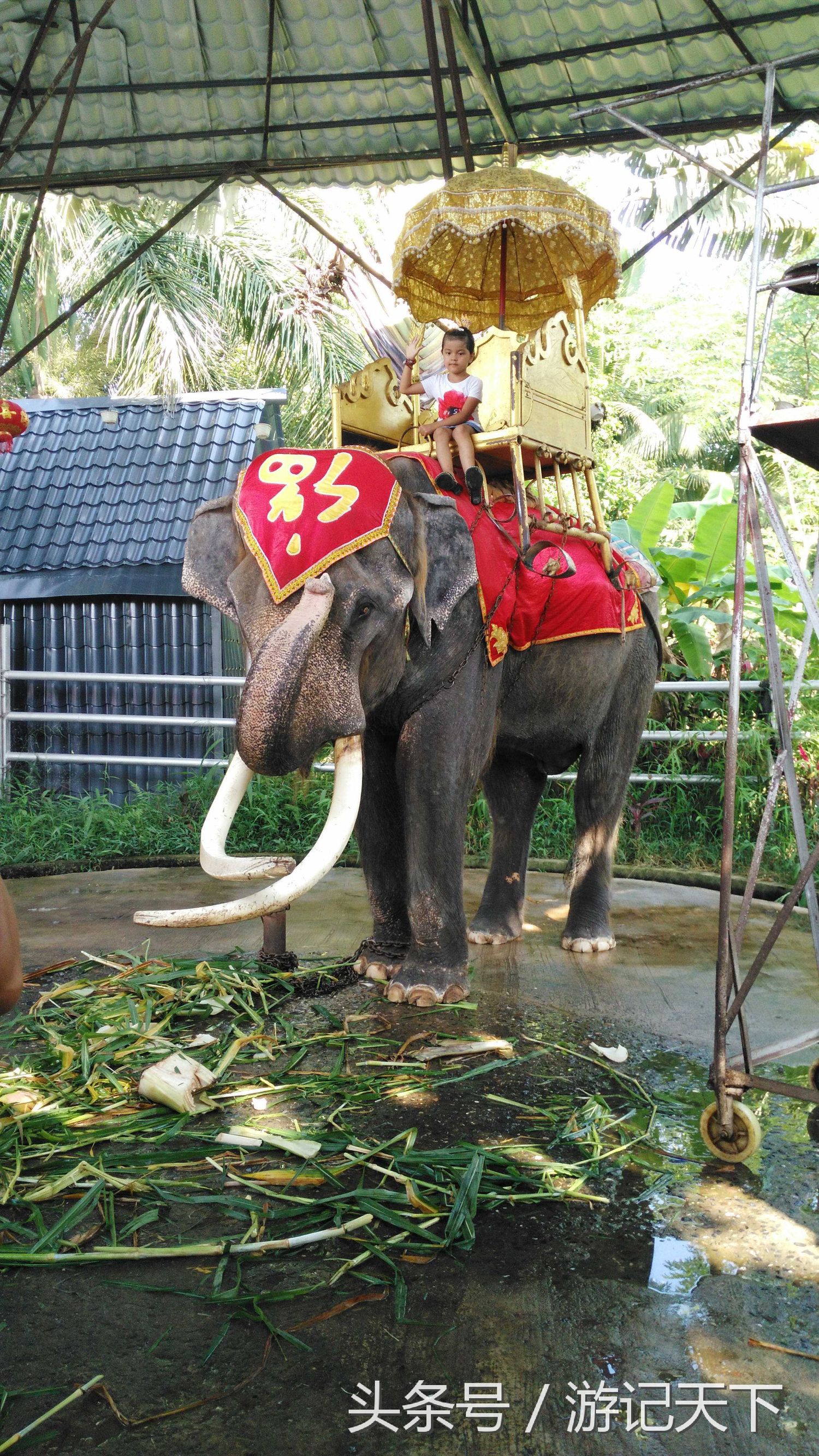 西双版纳深度游,西双版纳傣族园旅游攻略