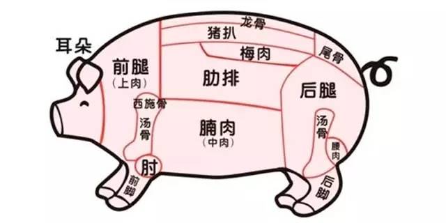 哇塞！原来一头猪可以吃的地方还真是多！