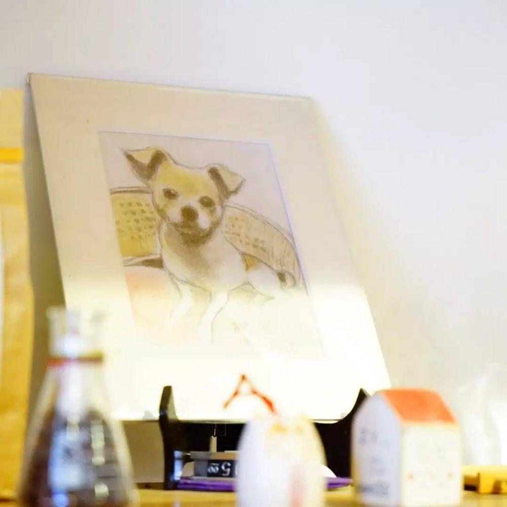 这位帅哥开着民宿却不好好做生意天南海北收藏好物分享给游客