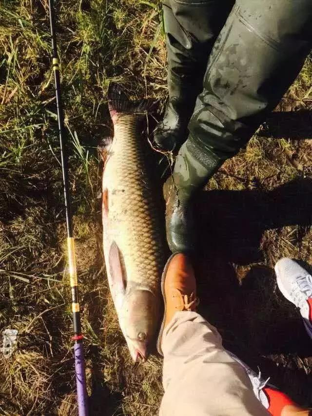 《渔获战报》黑坑之王在此，江湖没有之一