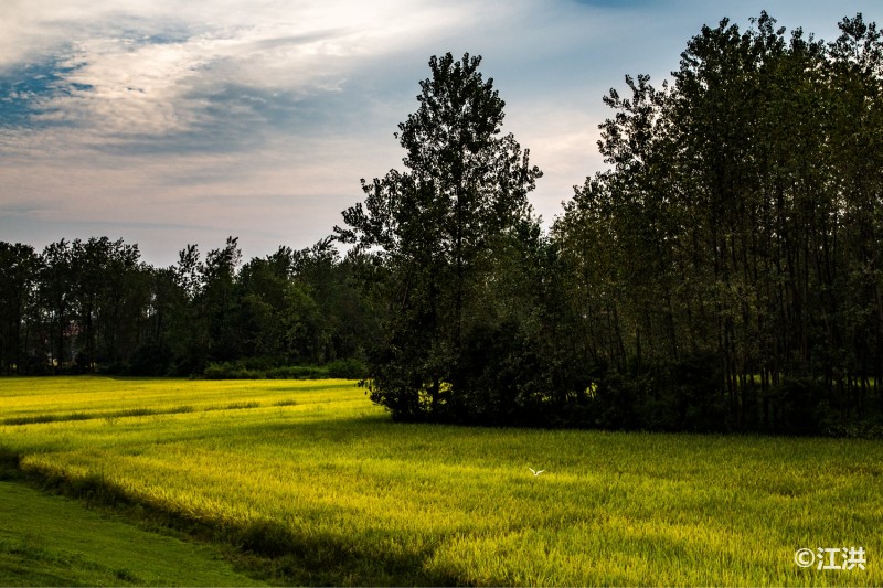 大美金寨：这里是人间天堂，这里是中国长寿之乡