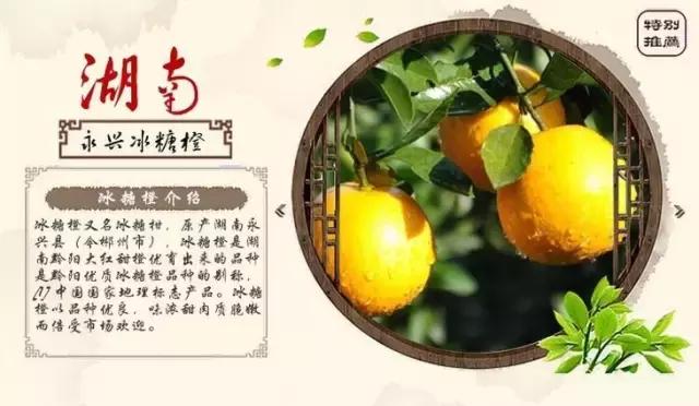 我眼中的中国原版视频,我眼中的中国原唱