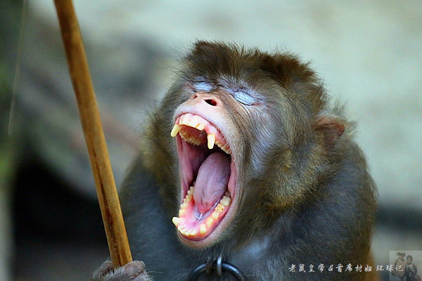 两院院士广东江门,江门院士有多厉害