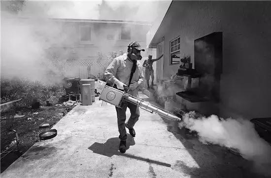 寨卡病毒会大爆发吗,寨卡病毒合集