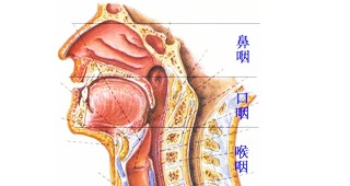 口咽癌居然是这种病毒导致的，想想就感觉恶心！