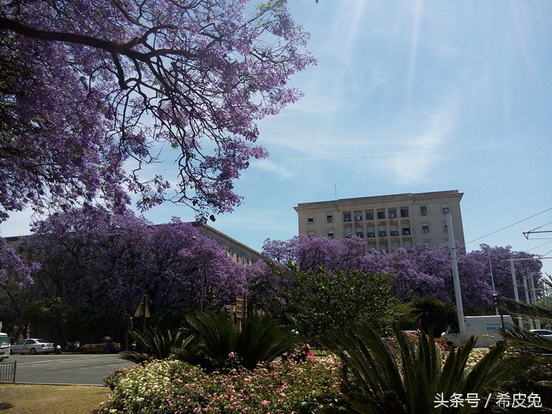西班牙塞维利亚的西班牙广场,西班牙塞维利亚的风景
